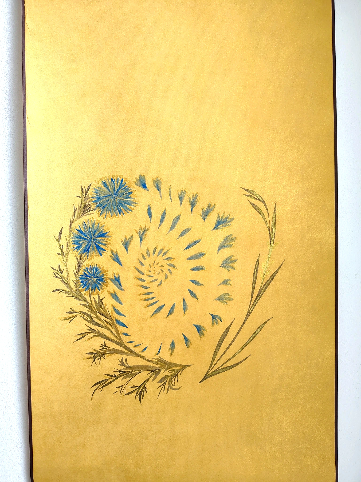 Cornflower Galaxy — overhead view