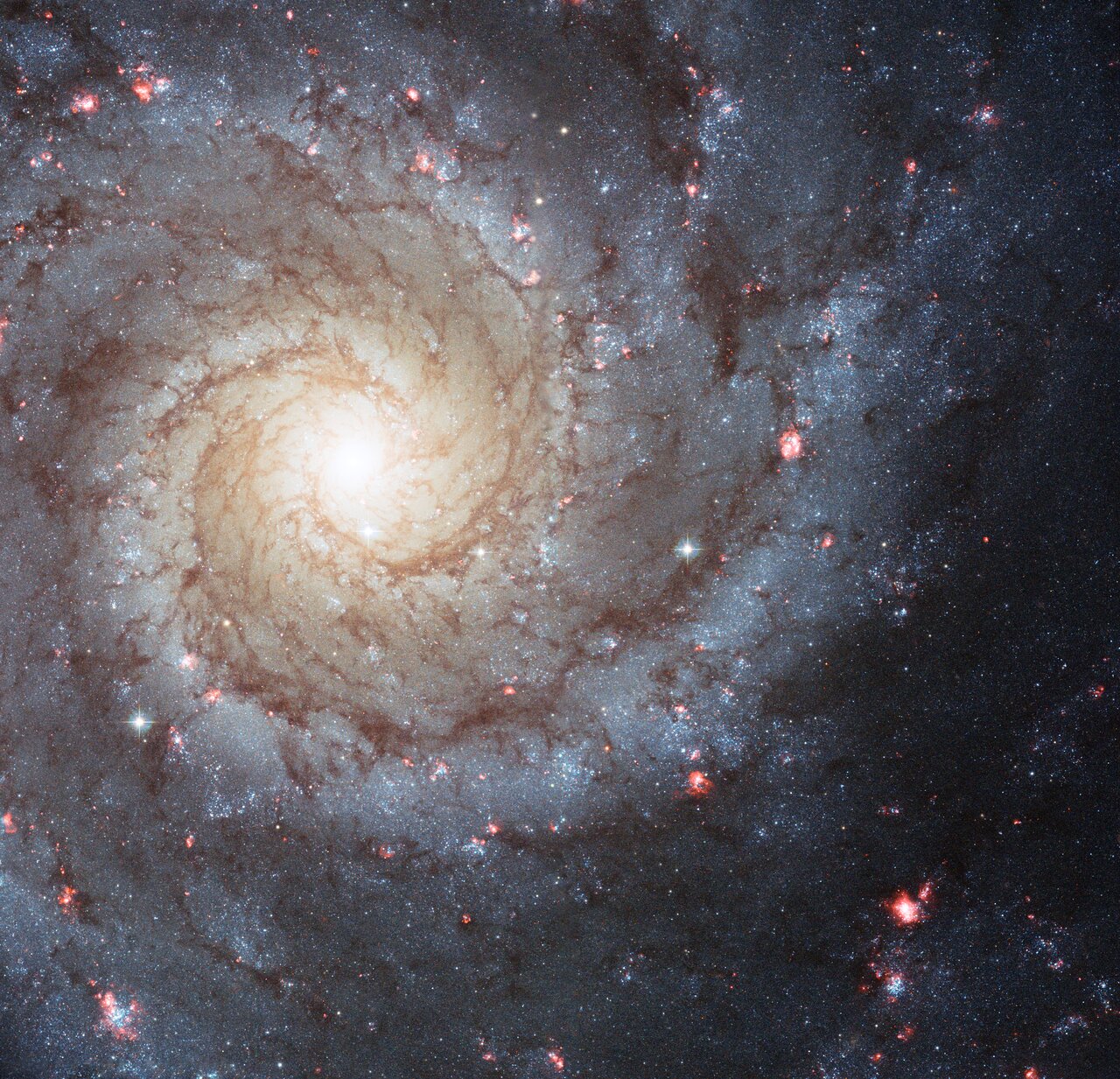 Spiral galaxy M74, photographed by the Hubble Space Telescope